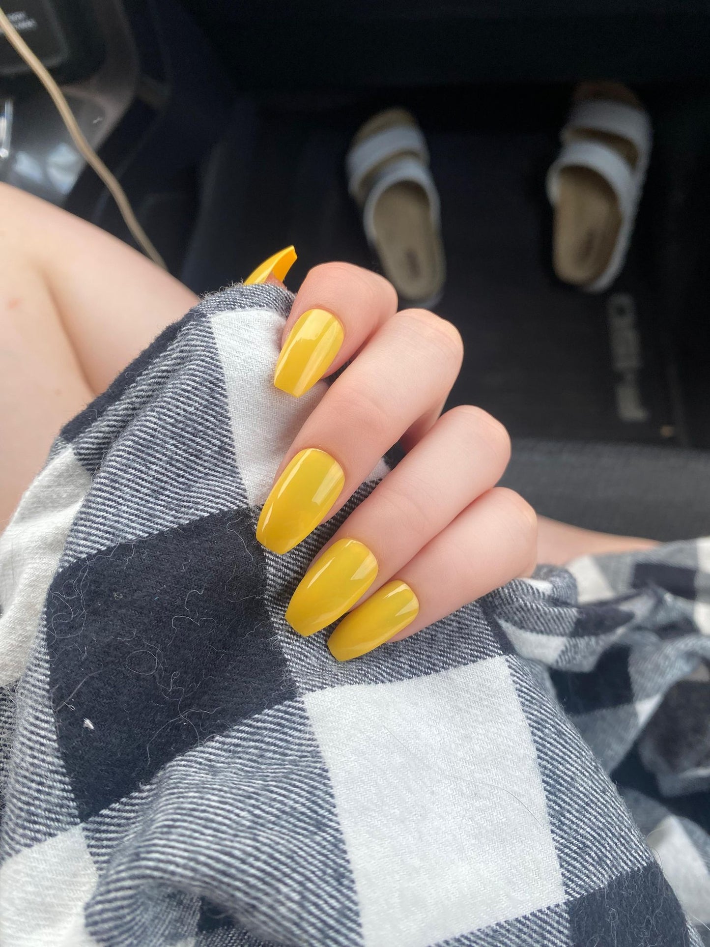 Canary
