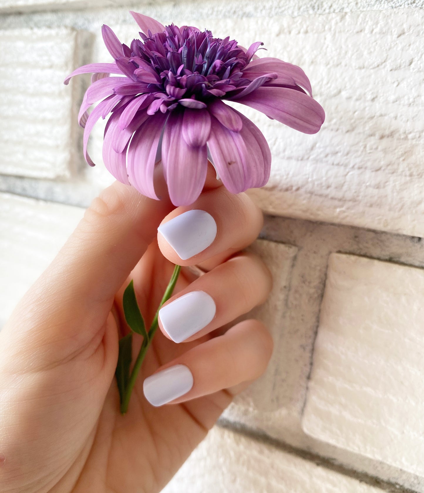 Blueberry Cream